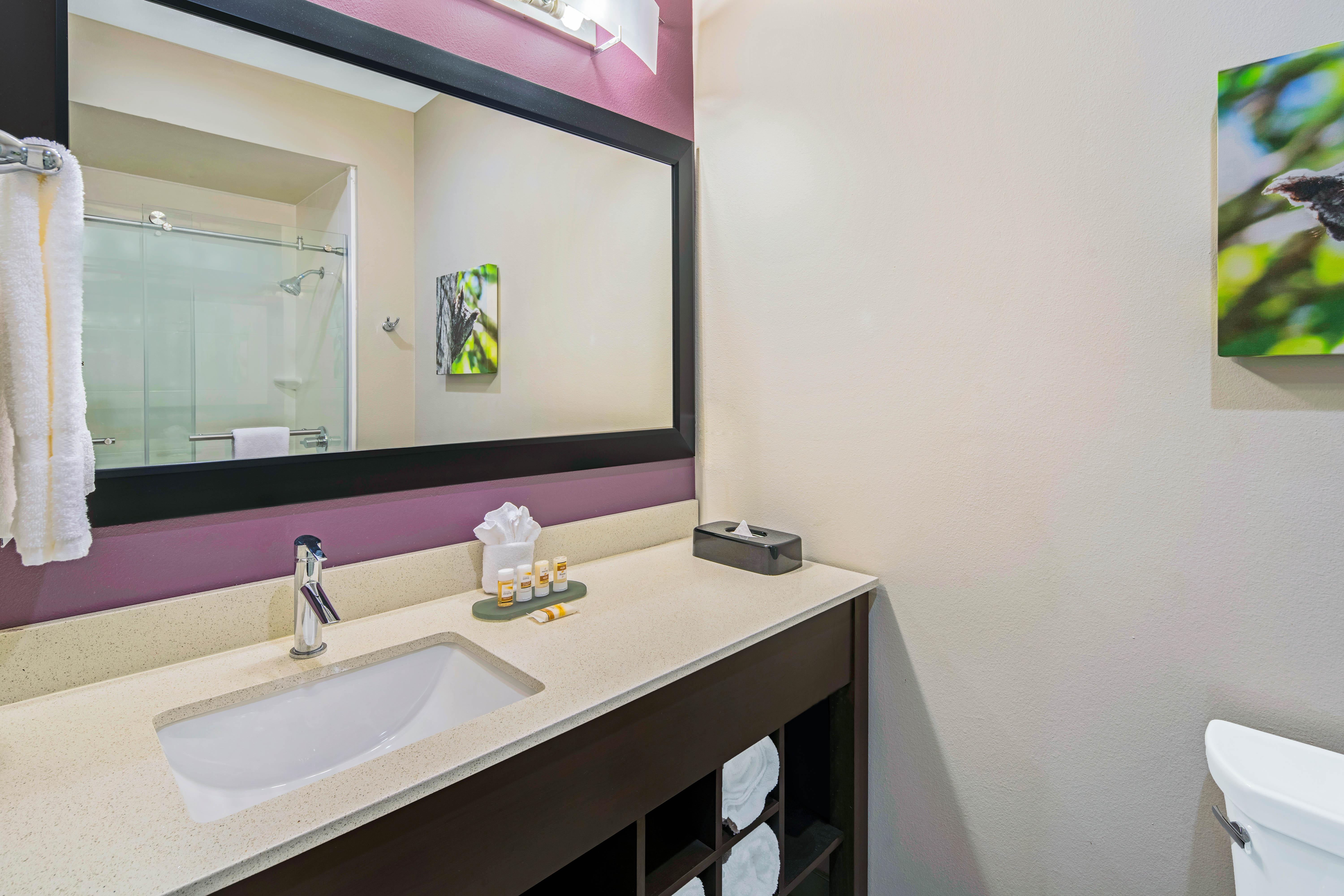 La Quinta By Wyndham Mcallen La Plaza Mall Extérieur photo
